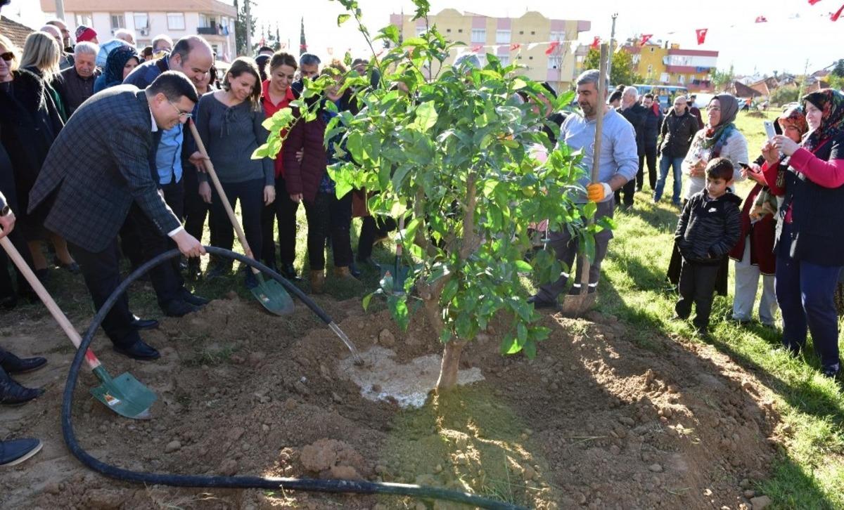 Kepez&rsquo;de 5 bin metrekare alan &ccedil;imlendirildi