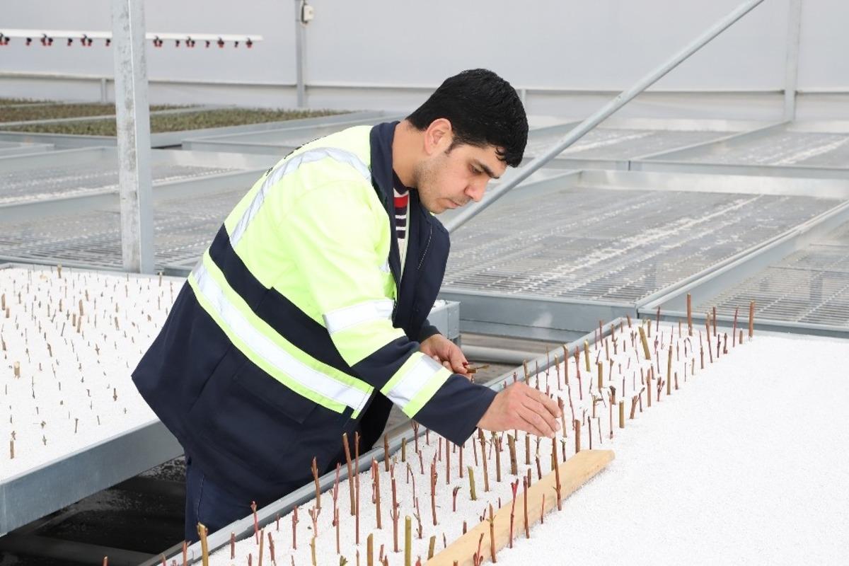 Şehitkamil Belediye Başkanı Rıdvan Fadıloğlu: