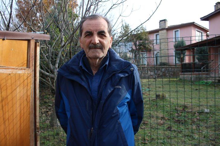 Aç kalan ayı sitedeki koyunları yedi G5