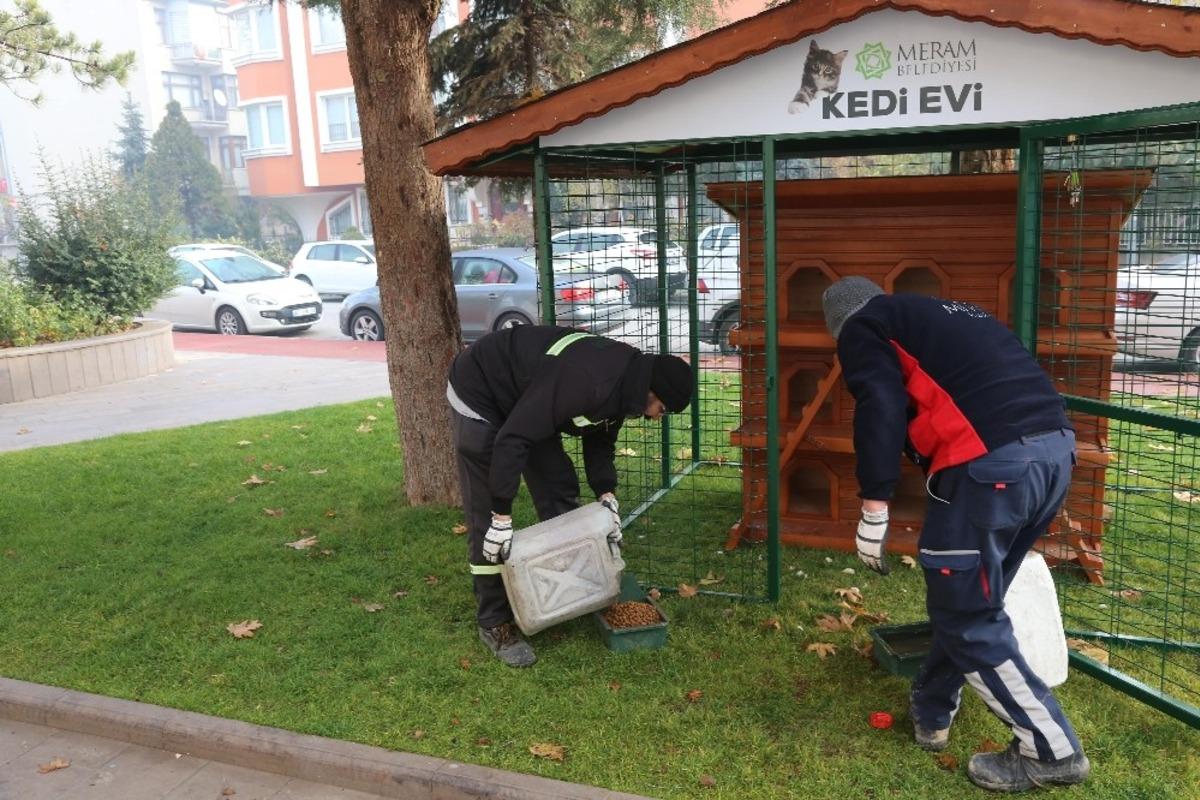 Meram Belediyesi, sokak hayvanları i&ccedil;in &ccedil;alışmalarını hızlandırdı