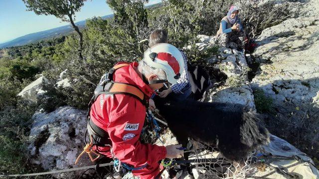 Kayıp keçi 1 hafta sonra AKUT ekiplerince bulundu