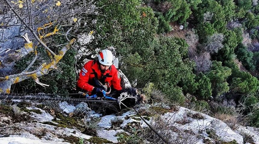 Kayıp ke&ccedil;i 1 hafta sonra AKUT ekiplerince bulundu