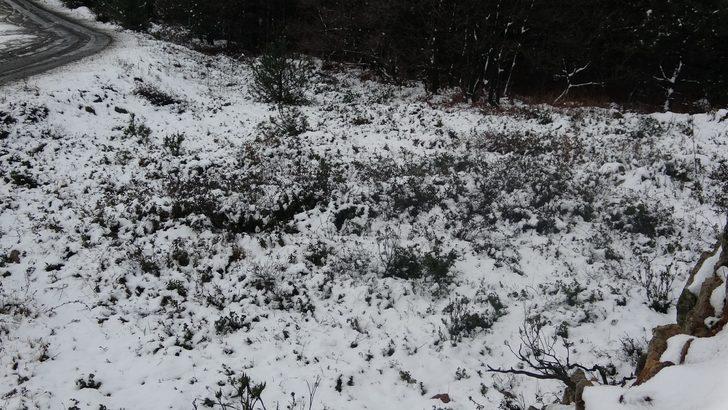 Aydos Ormanı beyaza büründü G4