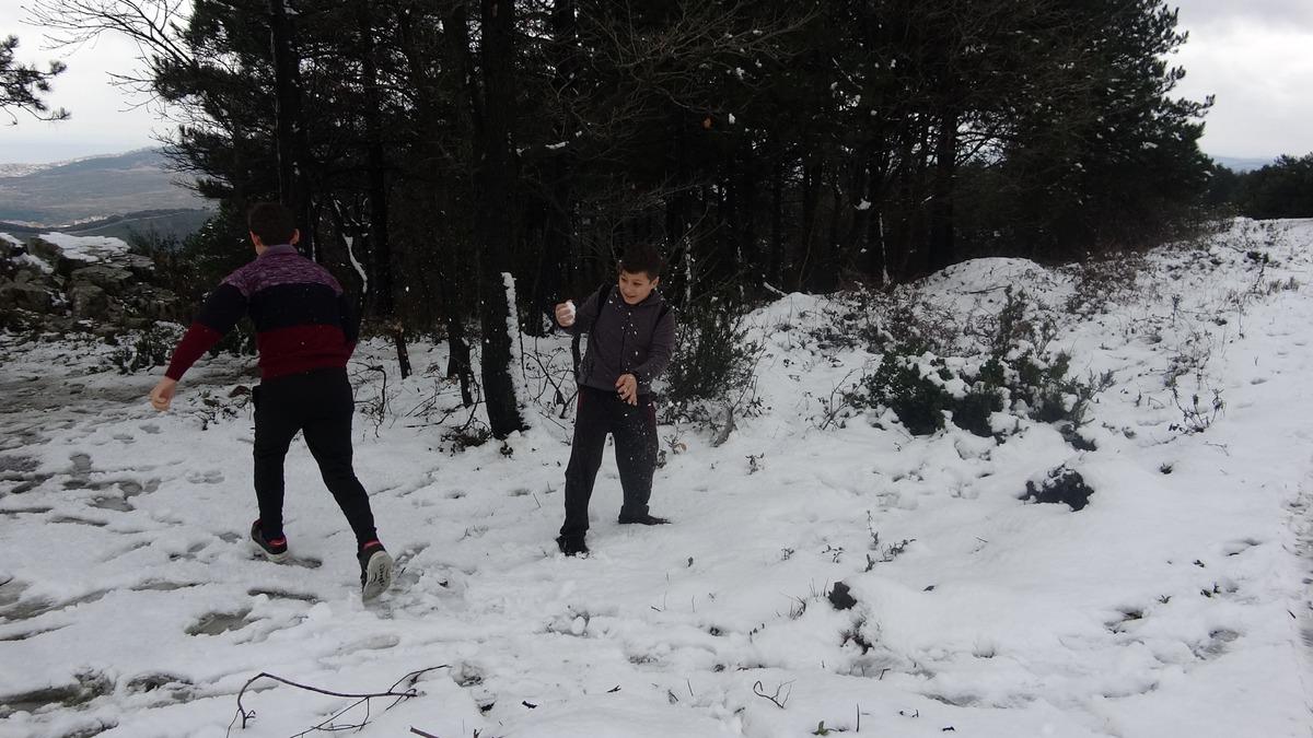 Aydos Ormanı beyaza b&uuml;r&uuml;nd&uuml;