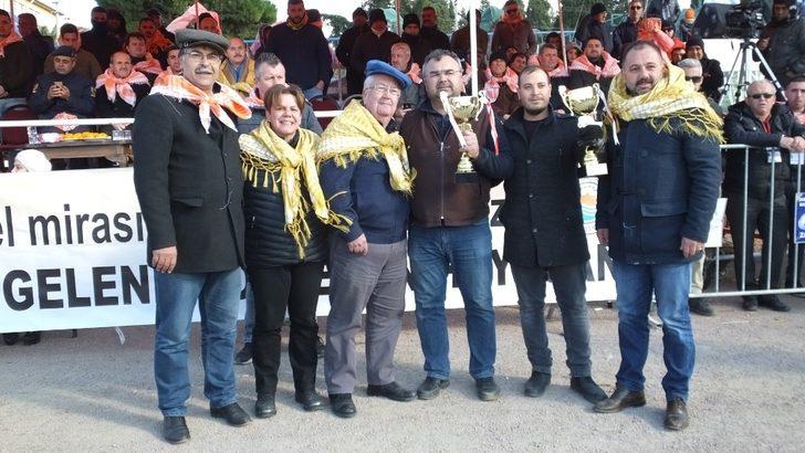 2019 yılının son deve güreşi Gömeç’te yapıldı G1