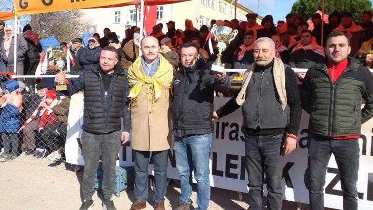 2019 yılının son deve güreşi Gömeç’te yapıldı G2