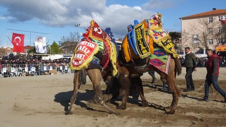 2019 yılının son deve güreşi Gömeç’te yapıldı G5