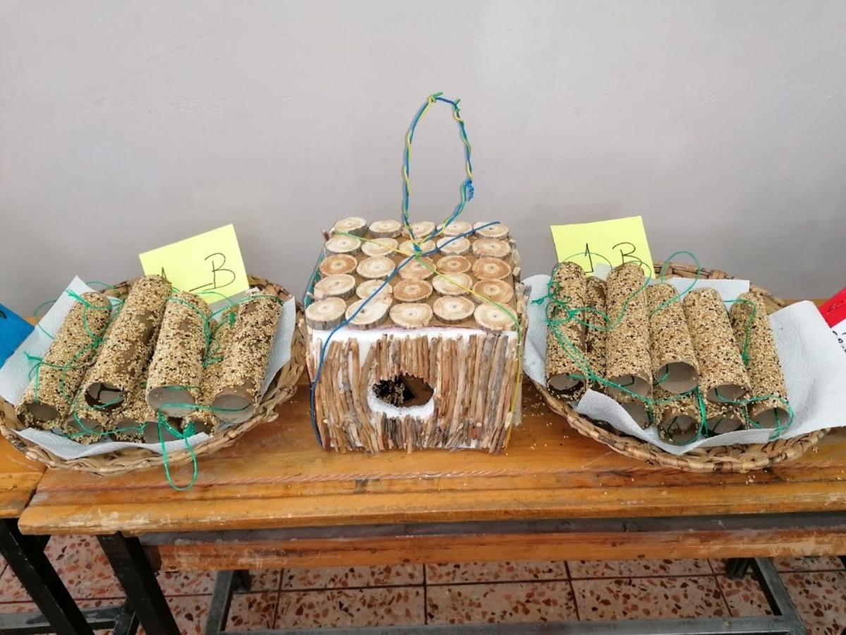 Ankara&rsquo;da &ouml;ğretmen ve &ouml;ğrencilerden &ldquo;Kuşlara Bir Damla Umut&rdquo; projesine destek