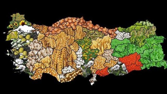 2020 yılında Bayburt’ta desteklenecek tarım ürünleri açıklandı