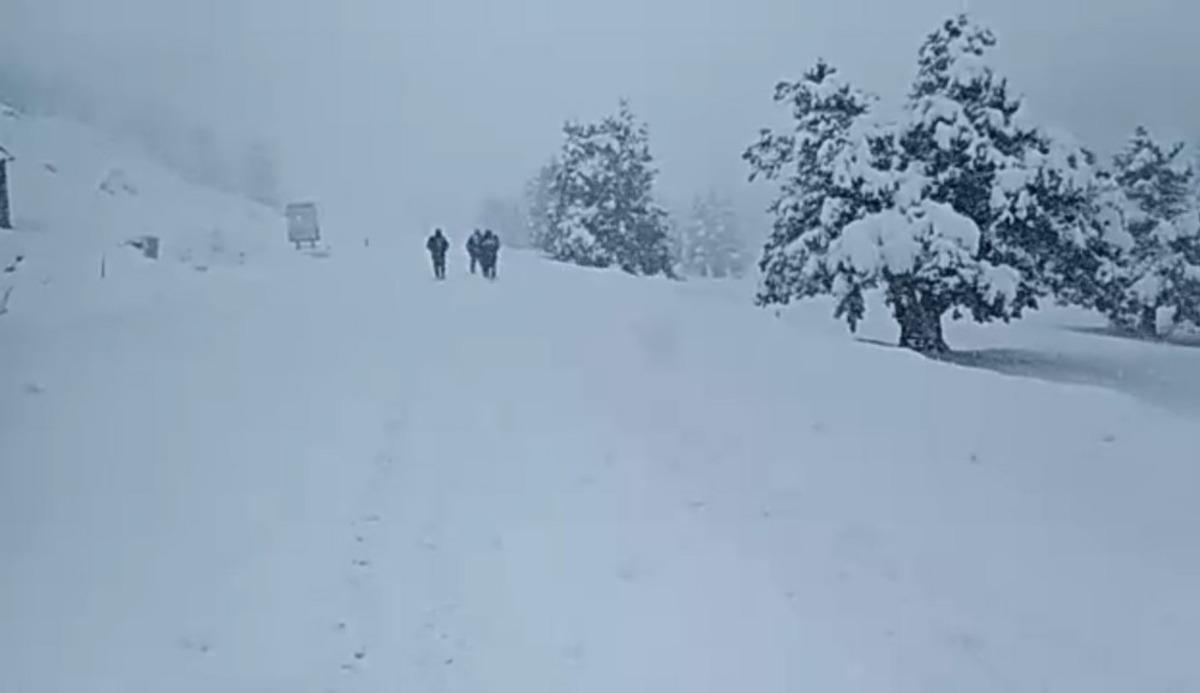 Mersin'de 5 kilometre y&uuml;r&uuml;yerek kar esaretinden kurtuldular