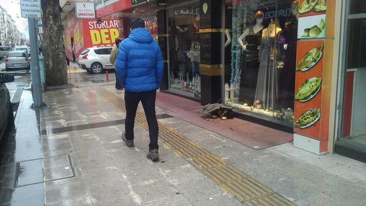 Kaldırımda yatan köpeği soğuktan korumak için üzerine hırka örttüler G3