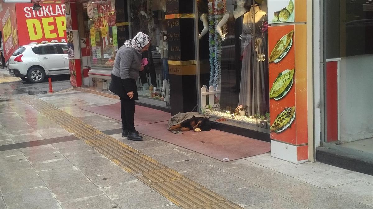 Kaldırımda yatan k&ouml;peği soğuktan korumak i&ccedil;in &uuml;zerine hırka &ouml;rtt&uuml;ler