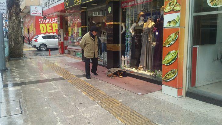 Kaldırımda yatan köpeği soğuktan korumak için üzerine hırka örttüler G5