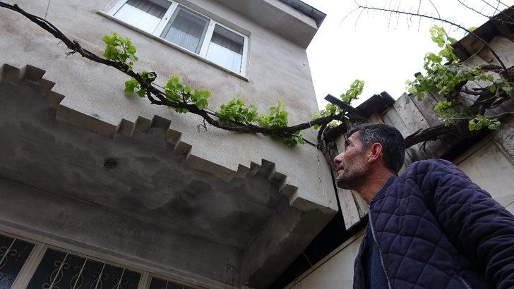 Şoke oldu: İlk kez böyle bir şey gördüm! G3