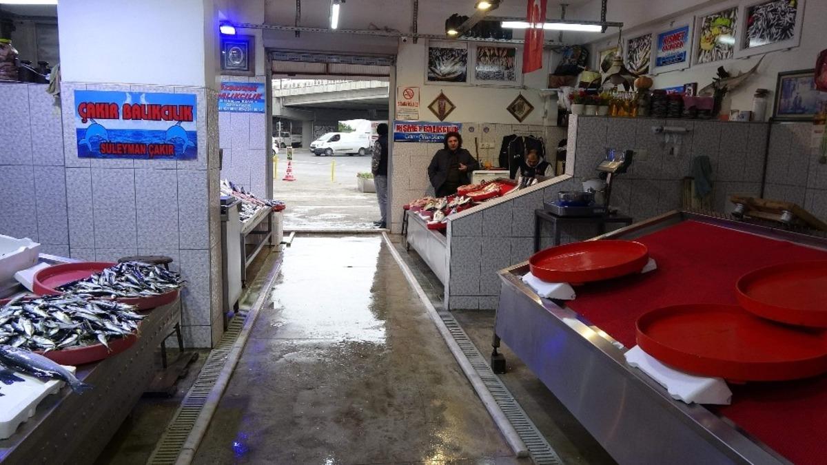 Balık&ccedil;ı esnafının g&ouml;z&uuml; G&uuml;rcistan&rsquo;dan gelecek hamside