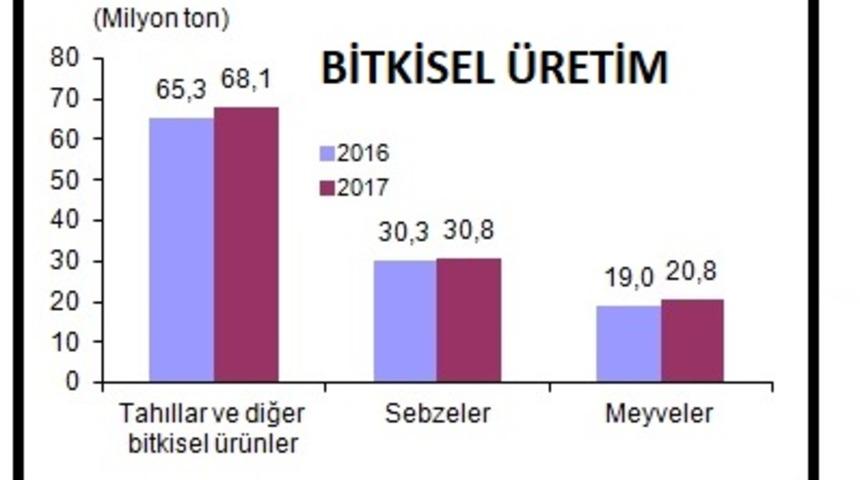 TÜİK - Buğday üretimi yüzde 5.0 düşüşle 19 milyon tona indi (2)