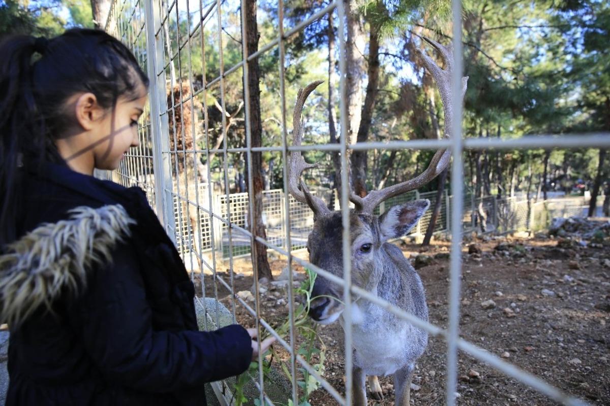 Hayvanat Bah&ccedil;esi 1 yılda 570 bin kişiyi ağırladı