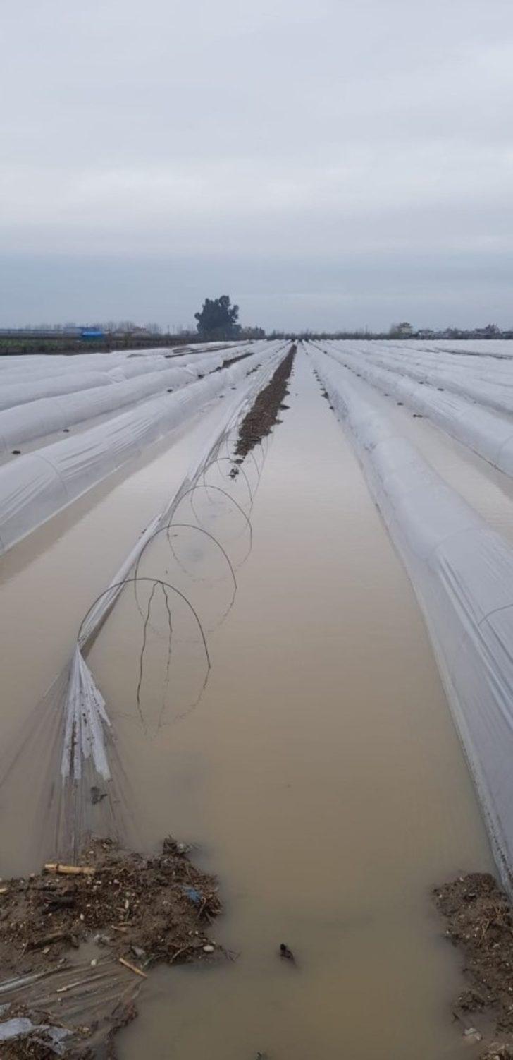 TARSİM: “Sigortalı üretici ve yetiştiricilerimize 1.3 milyar hasar ödemesi yapıldı” G3