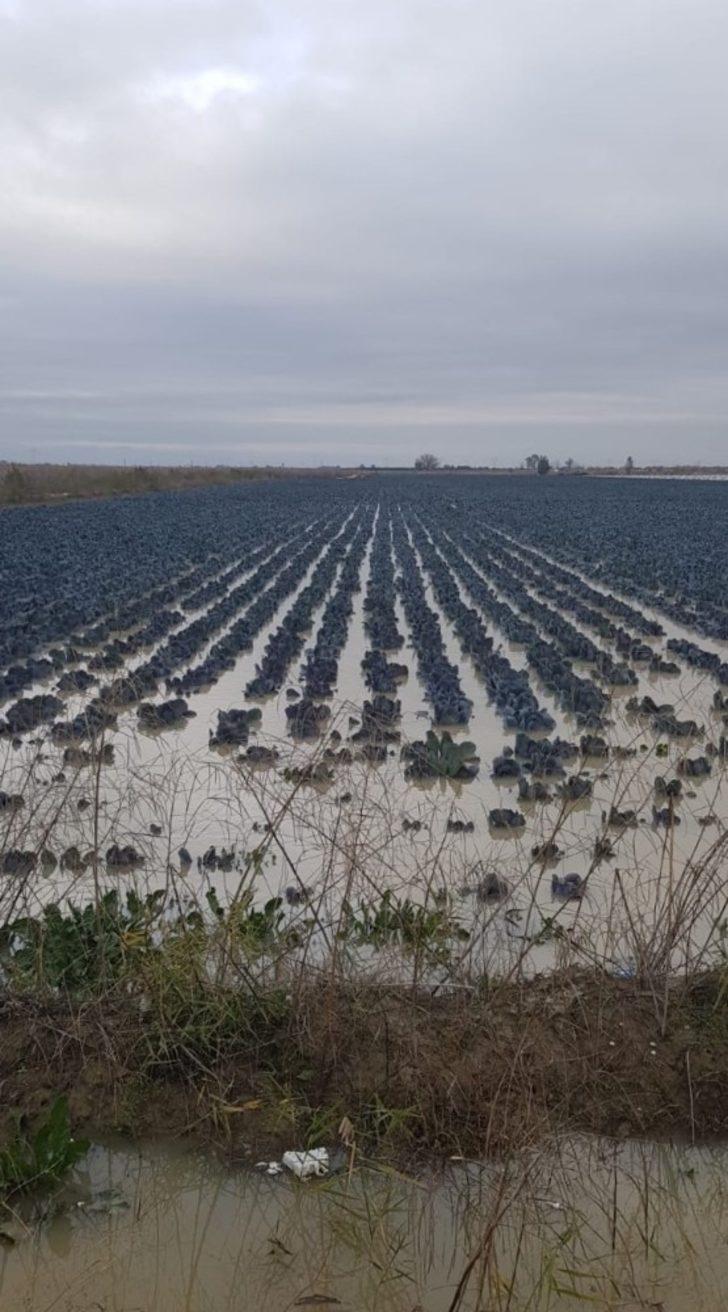 TARSİM: “Sigortalı üretici ve yetiştiricilerimize 1.3 milyar hasar ödemesi yapıldı” G4