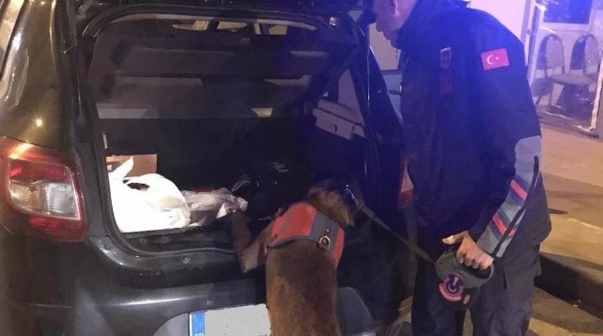 Ordu&rsquo;da jandarma 221 aranan şahsı yakaladı