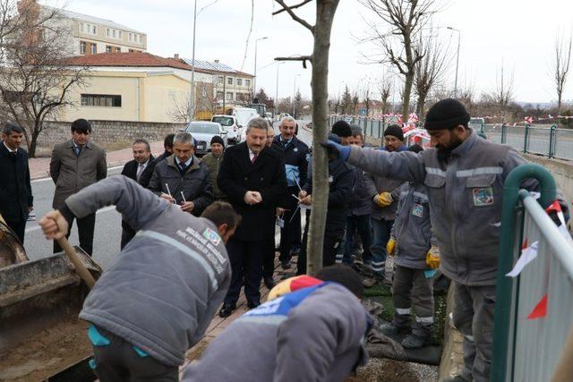 Başkanı Dr. Mustafa Palancıoğlu“fidan değil, ağaç dikiyoruz”