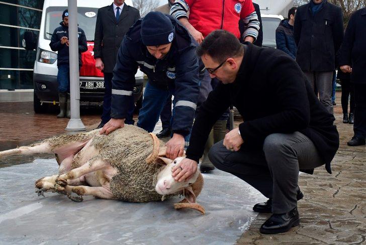 Yeni hizmet araçları için kurban kesildi G1