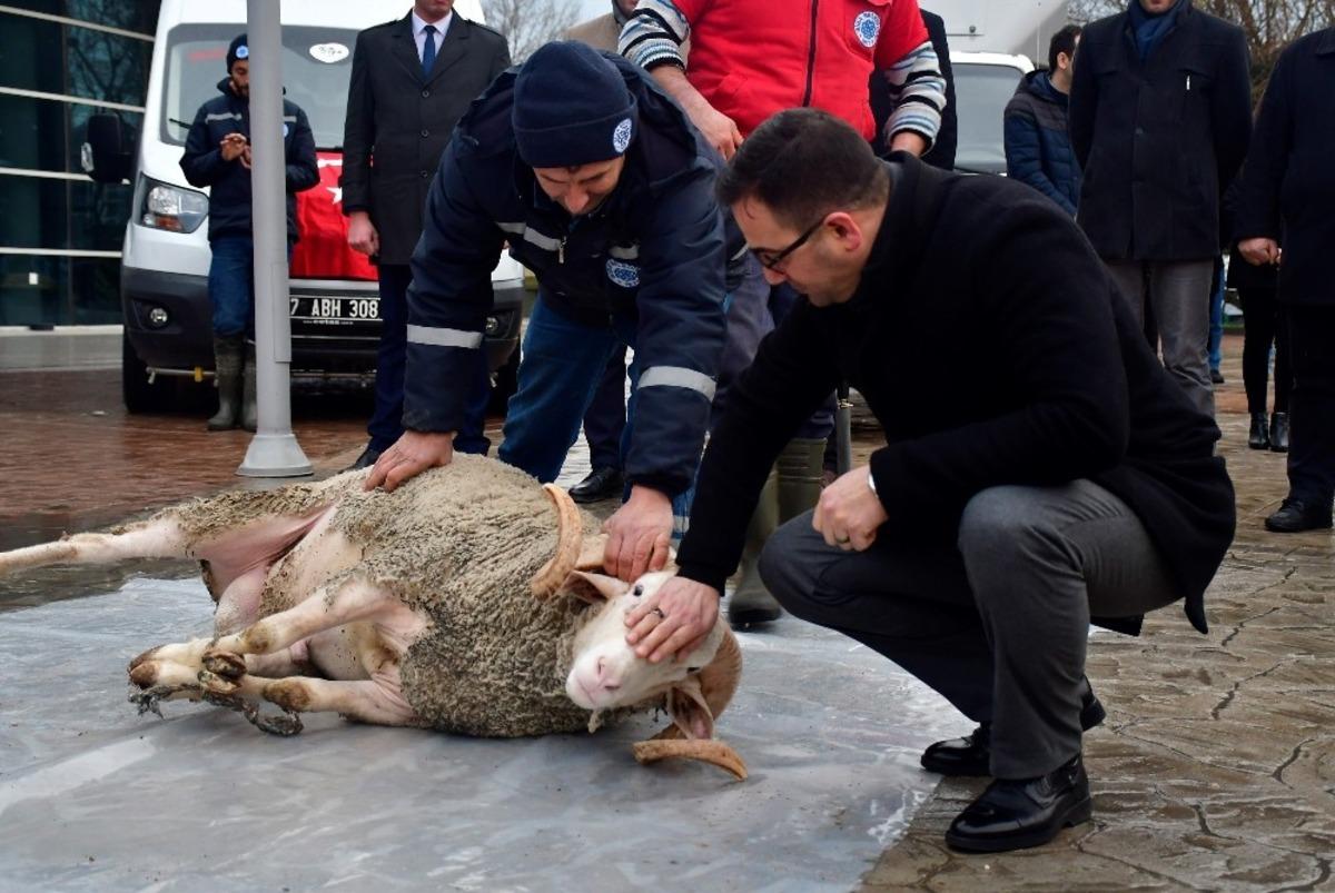 Yeni hizmet ara&ccedil;ları i&ccedil;in kurban kesildi