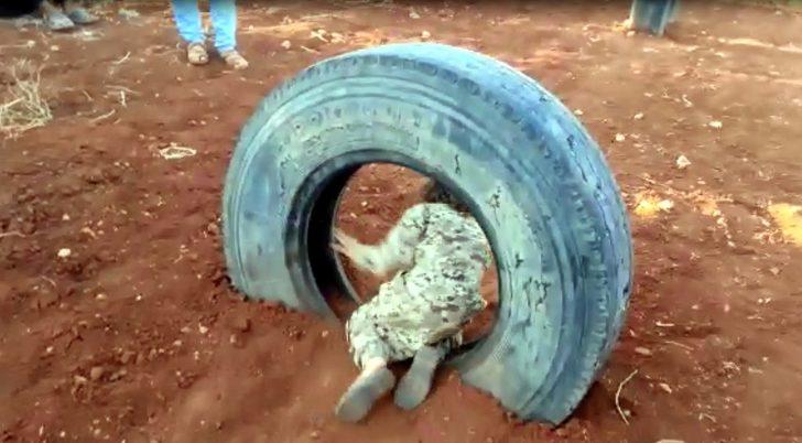 Ankara'da DEAŞ operasyonu: 5 gözaltı (2) G3