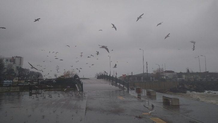 Batı Karadeniz’de yağışlar devam ediyor G5