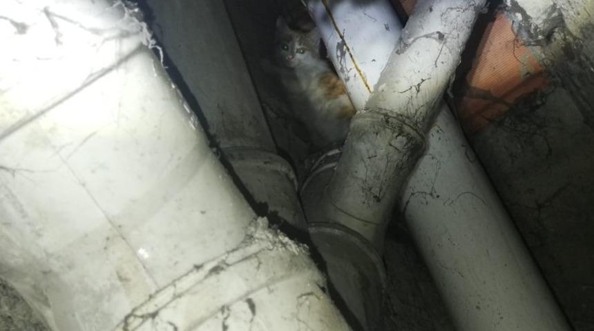 Apartman boşluğuna d&uuml;şen kedi kurtarıldı