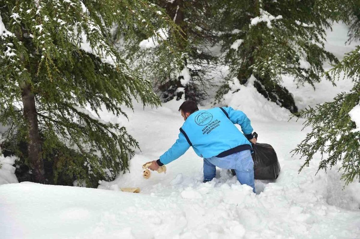 Dulkadiroğlu Belediyesi&rsquo;nden yaban hayvanlarına ekmek