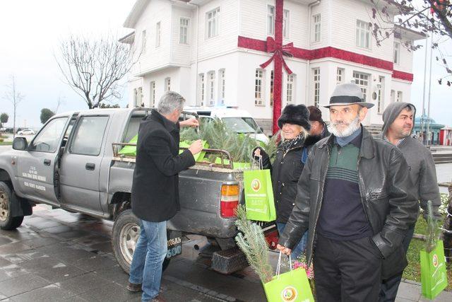 Yalova’da vatandaşlara 2 bin 200 çam fidanı dağıtıldı