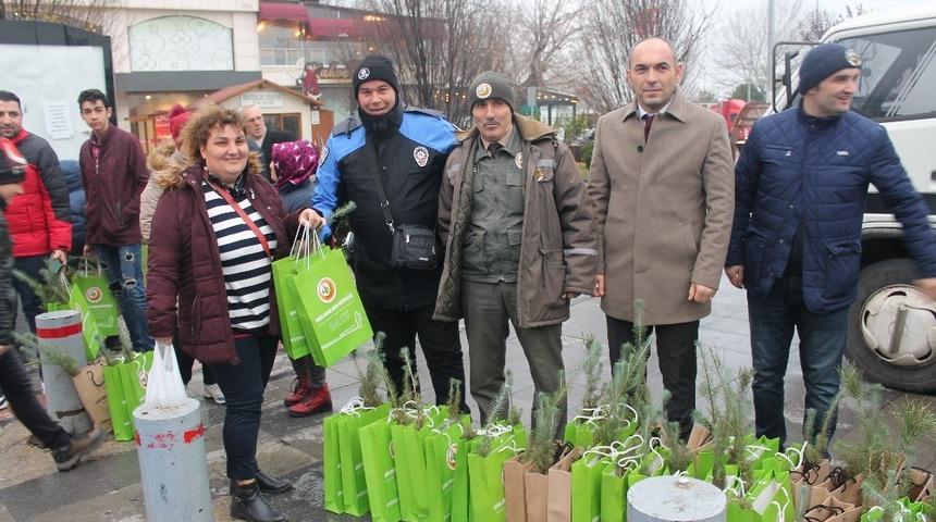 Yalova&rsquo;da vatandaşlara 2 bin 200 &ccedil;am fidanı dağıtıldı