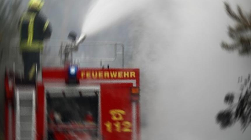 Almanya&rsquo;da yeni yılın ilk saatlerinde 30&rsquo;dan fazla maymun telef oldu