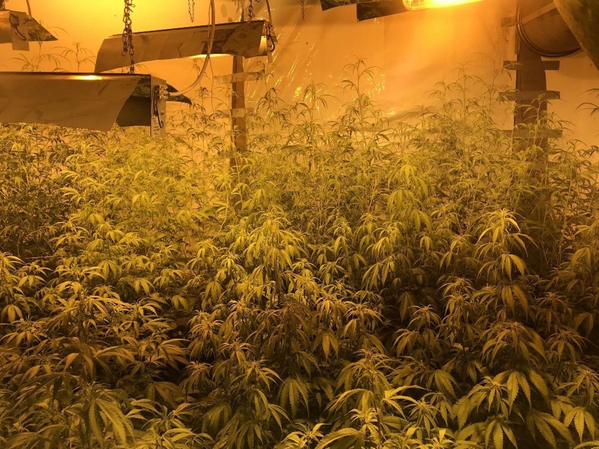 Uyuşturucu villalarına baskın