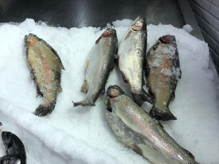 Olumsuz hava tezgahlara yansıdı G1