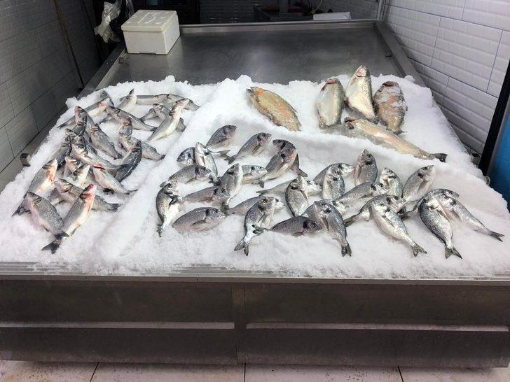 Olumsuz hava tezgahlara yansıdı G2