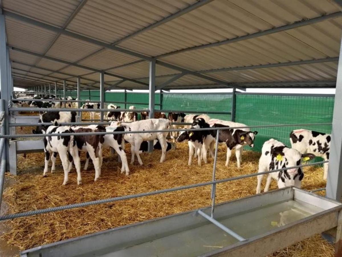 S&uuml;t&uuml;n yolculuğu L&uuml;leburgaz&rsquo;dan Malezya&rsquo;ya