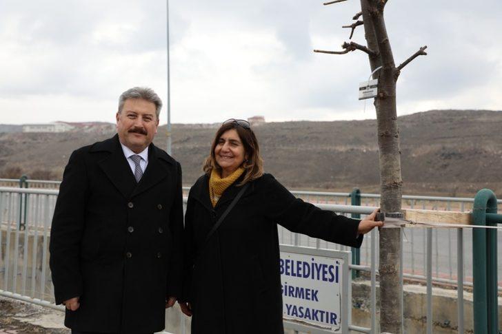 Başkan Palancıoğlu’ndan muhtarlara özel ağaçlandırma alanı G3