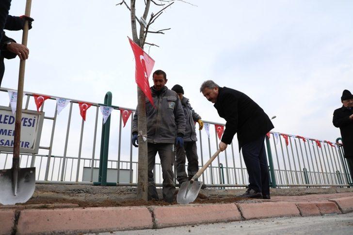 Başkan Palancıoğlu’ndan muhtarlara özel ağaçlandırma alanı G4