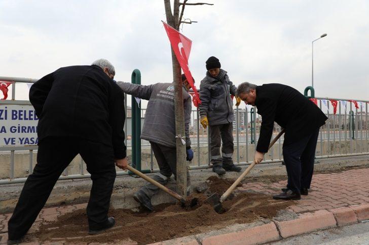 Başkan Palancıoğlu’ndan muhtarlara özel ağaçlandırma alanı G5