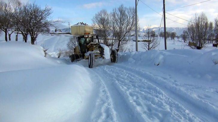 Muş'ta ayağı kırık at için ekipler seferber oldu G5