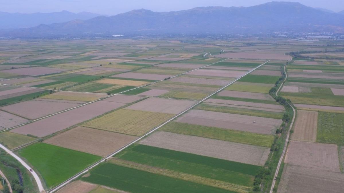 Aydın, Denizli ve Muğla&rsquo;da 269 bin 647 dekar tarım arazisi toplulaştırıldı