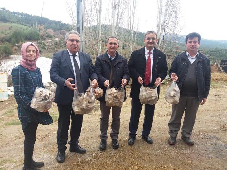 Genç Çiftçi Projesi ile istiridye mantarı üretimine başladı G1