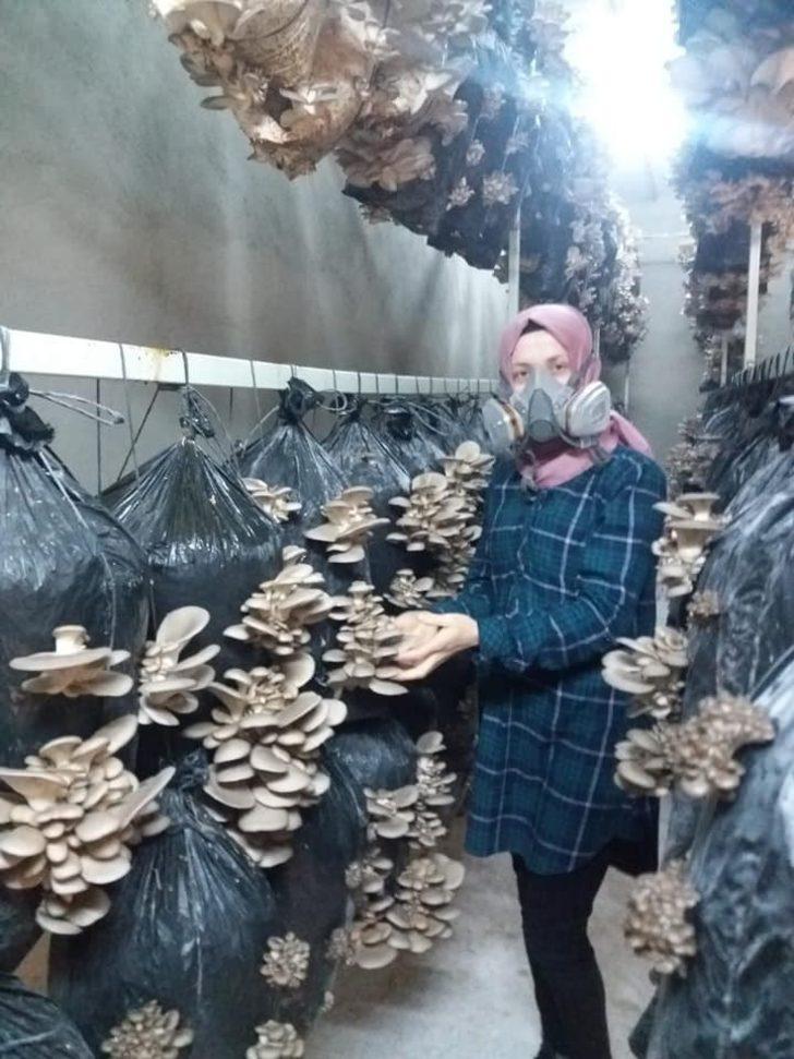 Genç Çiftçi Projesi ile istiridye mantarı üretimine başladı G4