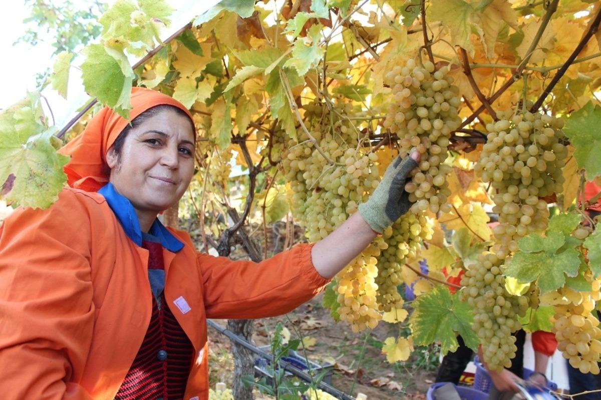 Limanı ve &uuml;lke sınırı olmayan Alaşehir&rsquo;den 550 milyon dolarlık ihracat