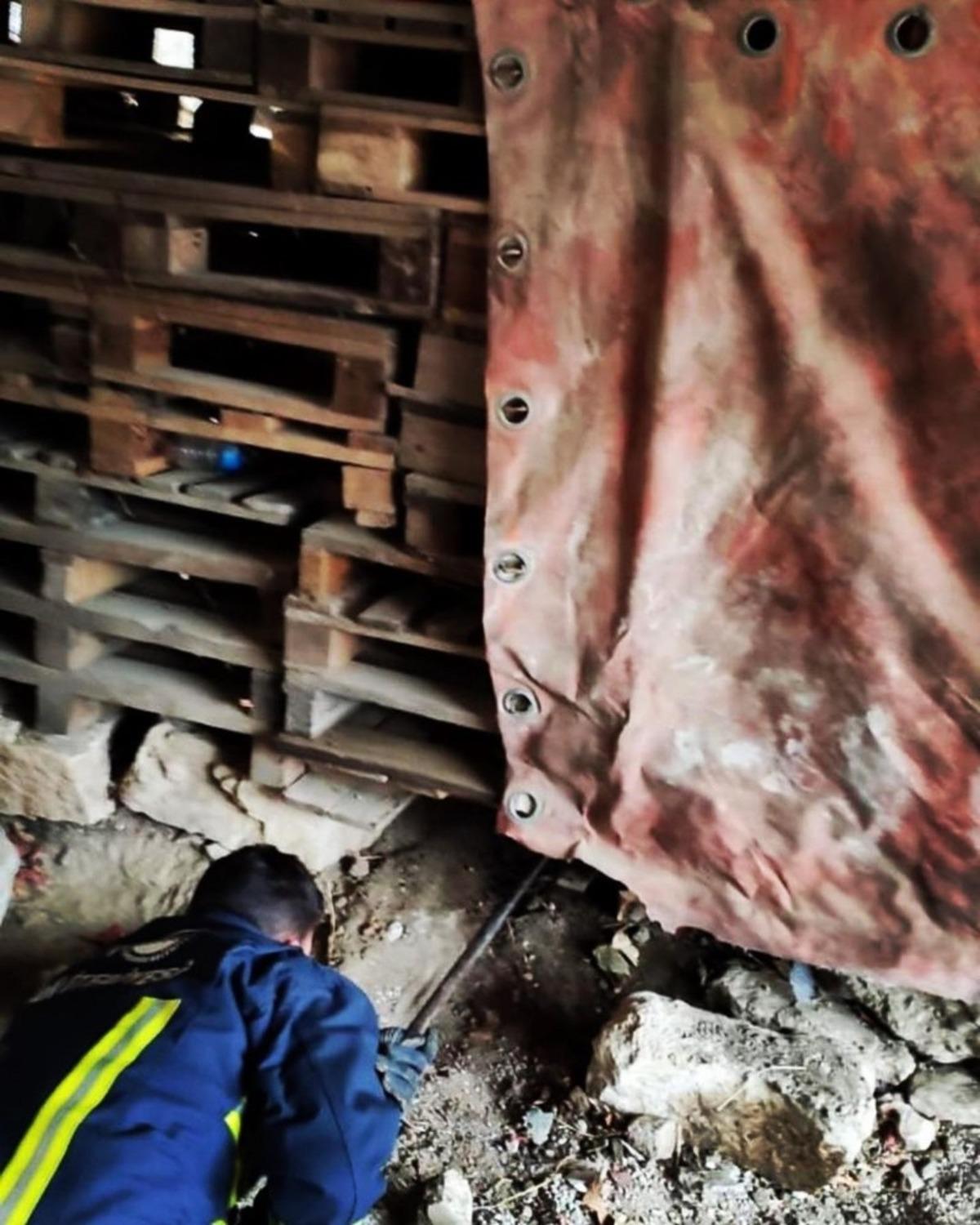 Tahta paletlerin altında sıkışan k&ouml;pek itfaiye tarafından kurtarıldı