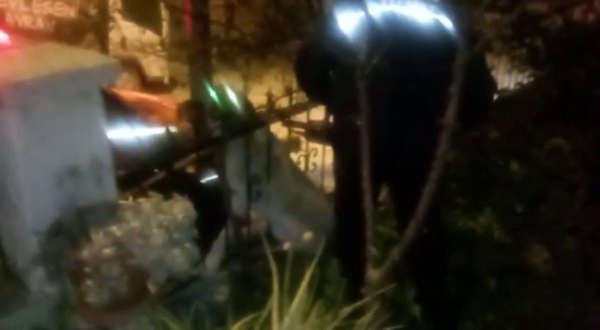 Korkuluklara sıkışan k&ouml;pek kurtarıldı