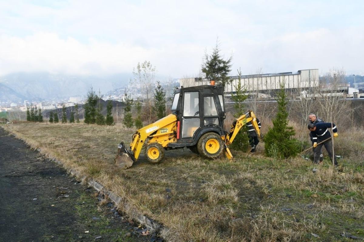 Yeşil bir Karab&uuml;k i&ccedil;in bin fidan dikildi