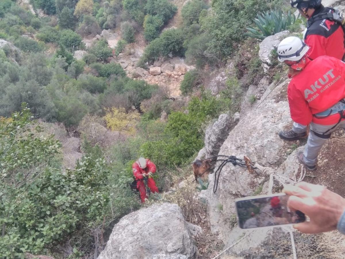Kayalıklarda mahsur kalan ke&ccedil;i AKUT ekiplerince kurtarıldı
